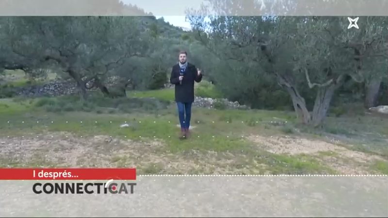connecticat125399-2019-01-22