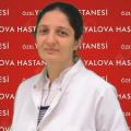 Buğday Hepşen Daylan Tunç