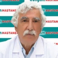 Ali Özdemir Ersoy