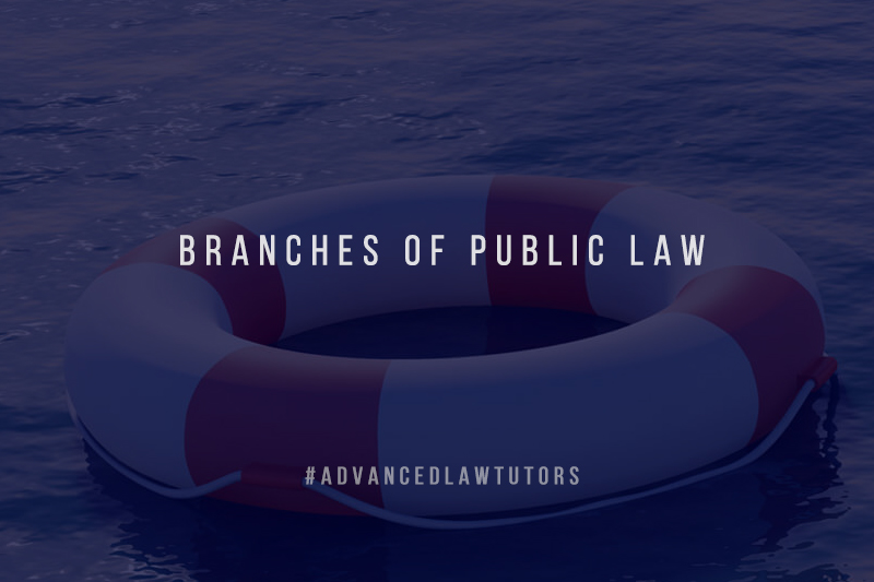 public law branches