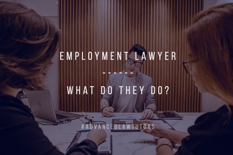 employment lawyer roles