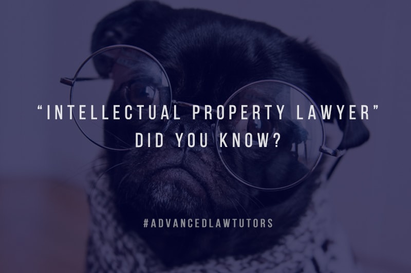 Intellectual-Property-Lawyer-did-you-know