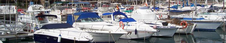 Boats in harbour