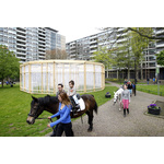 Ponyrijden op de jan evertsenplaats fotograaf bas czerwinski