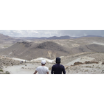The gold of the andes - the inoue brothers