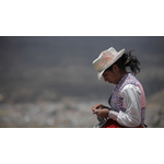 The gold of the andes - the inoue brothers