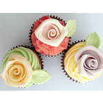 Modahaus steady stand ss200 with iphone 4s cupcakes