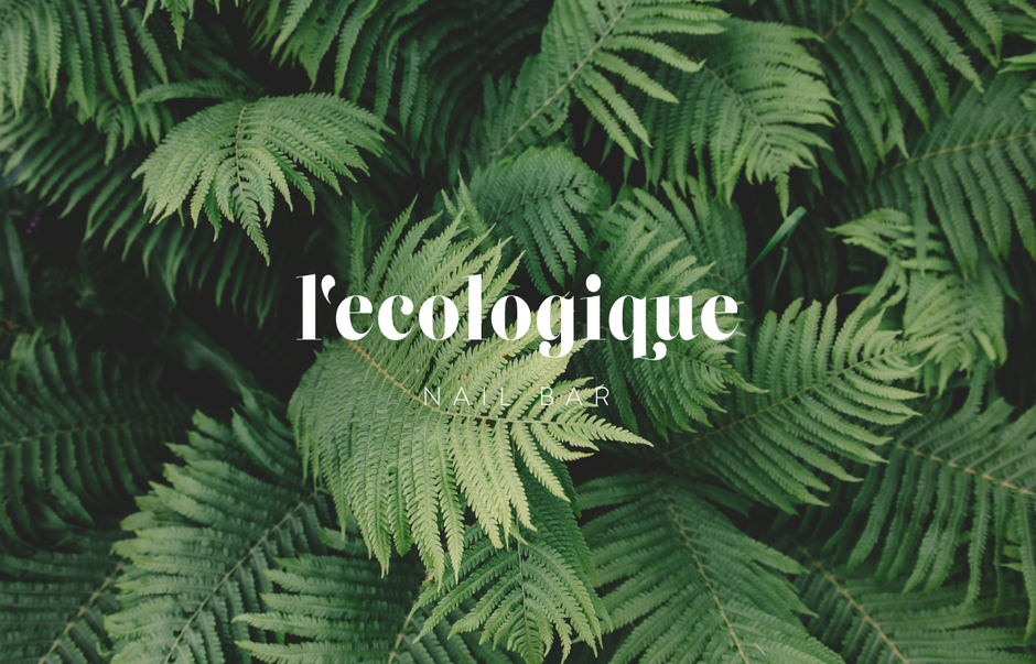 Full_width_l_ecologique04