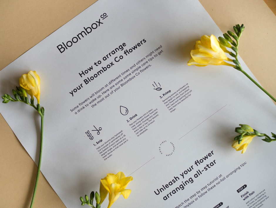 Full_width_bloombox11