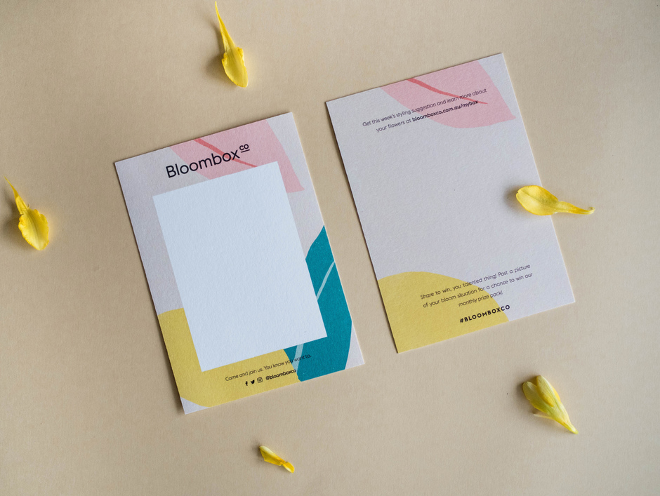Full_width_bloombox12