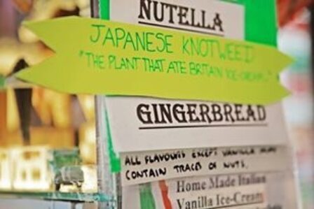 Cooking Sections