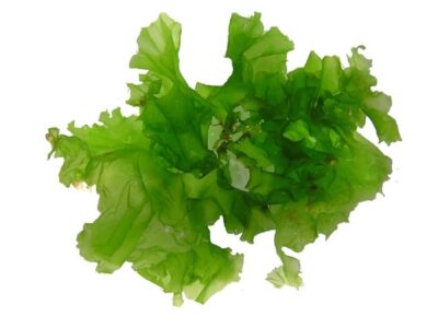 7080