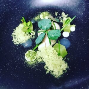 Oyster Cucumber Arrowgrass