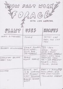 Scan 3