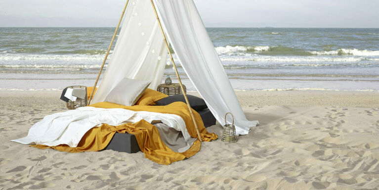 07 INTERIEUR DWL swann olivia doodle campagne hor DEF