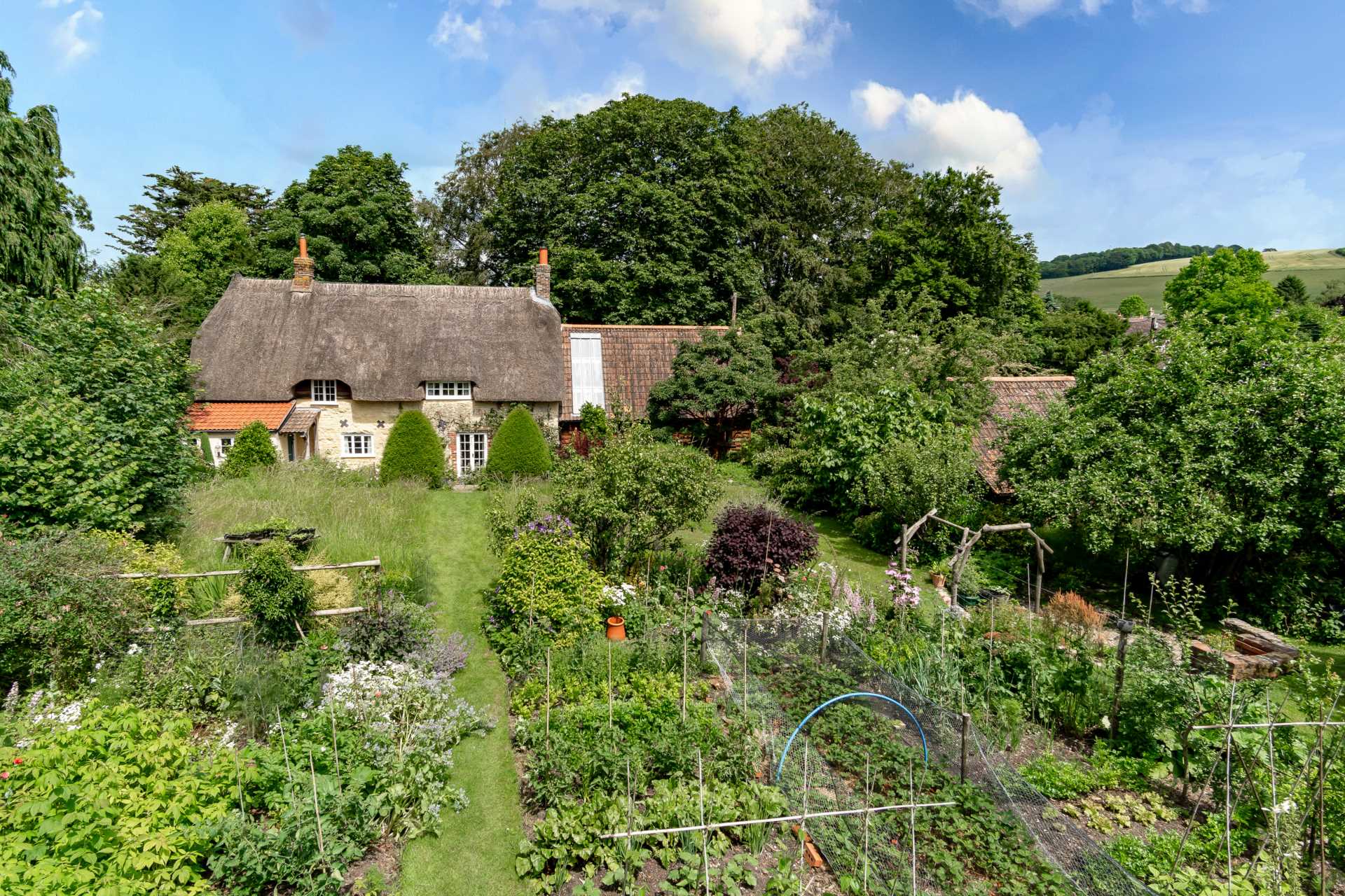 for sale in Dorset Horsemart