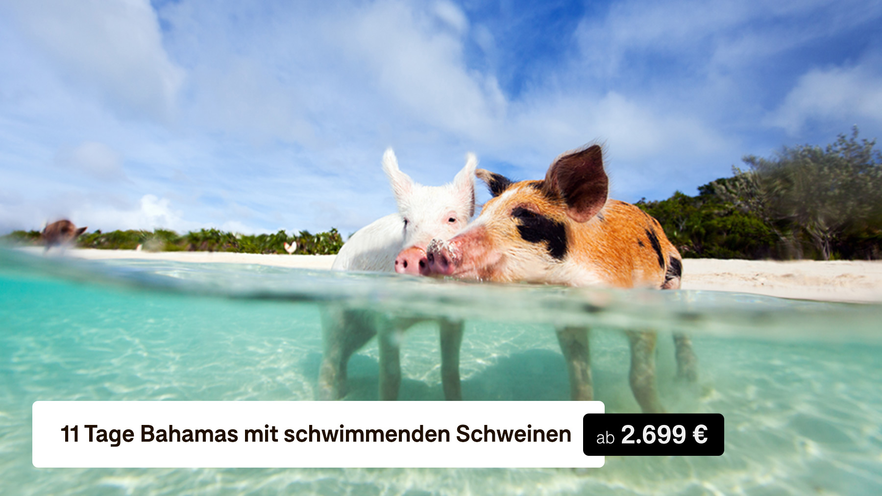 Bild01.jpg