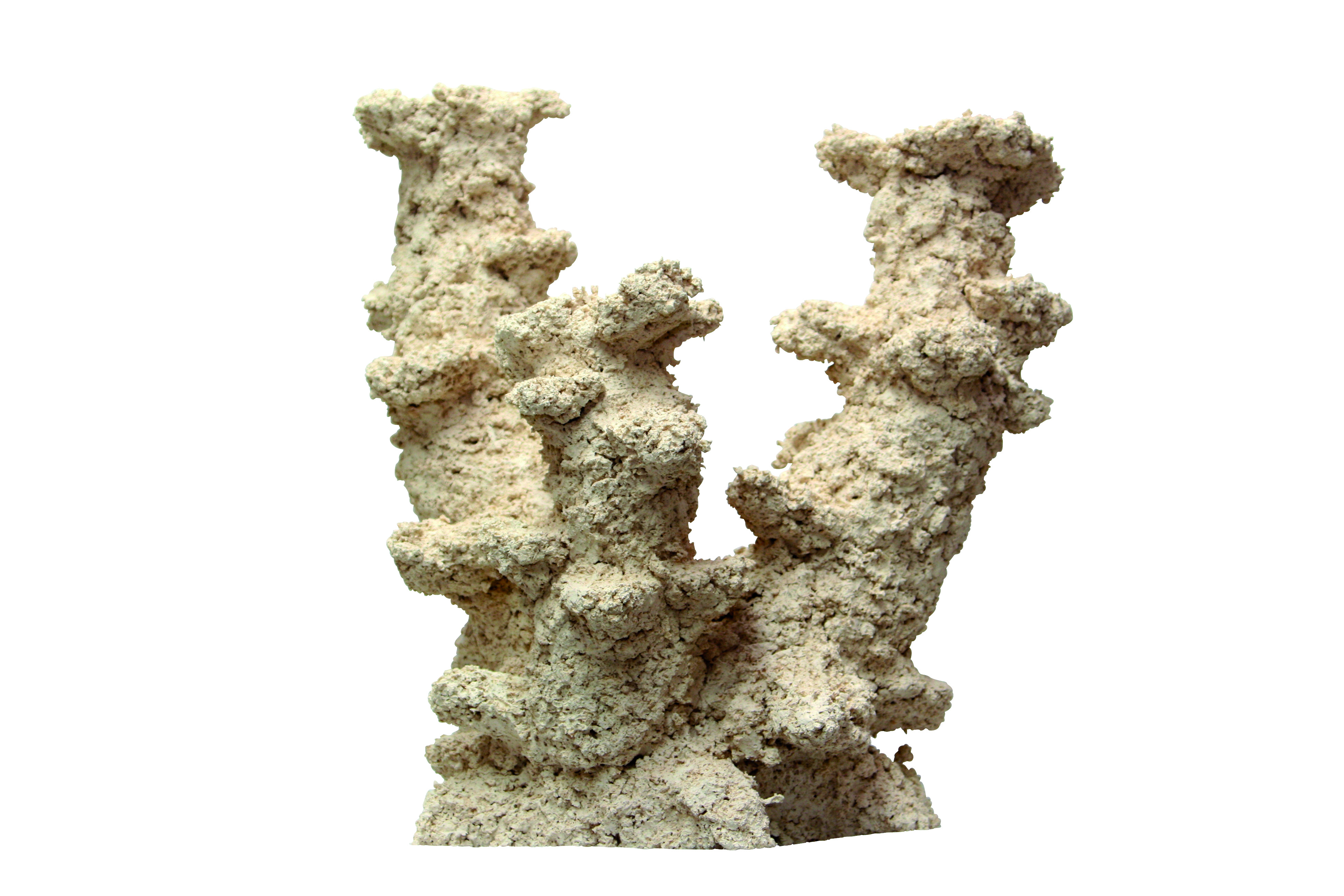 arka reef ceramics now