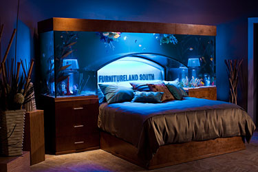 the popular aquatic tv