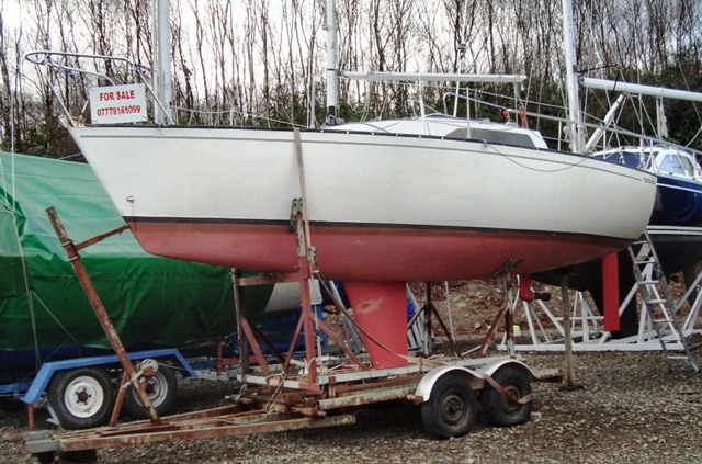 Foxterrier Yacht