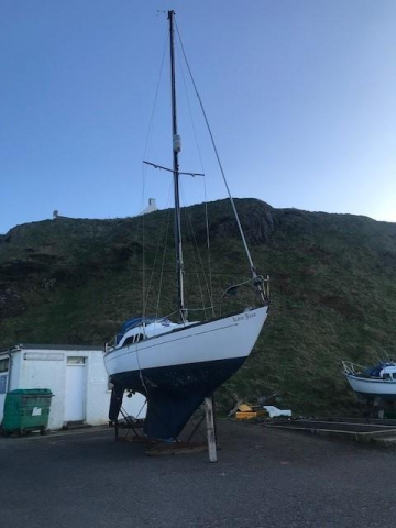 Kings Cruiser 29