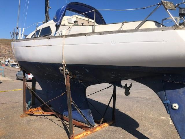 Kings Cruiser 29
