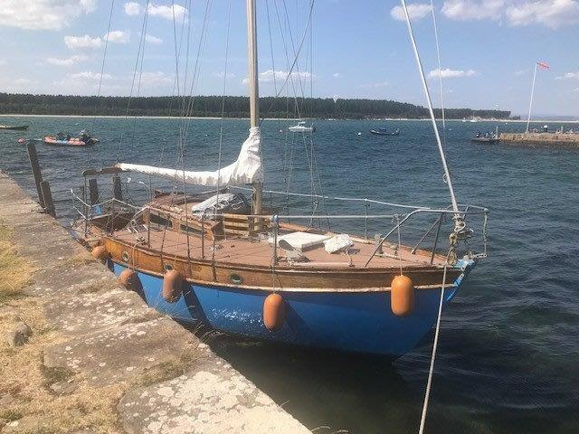 Pintail 27