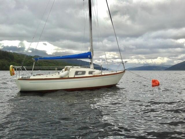 Hurley 22