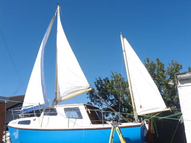 Cox 22