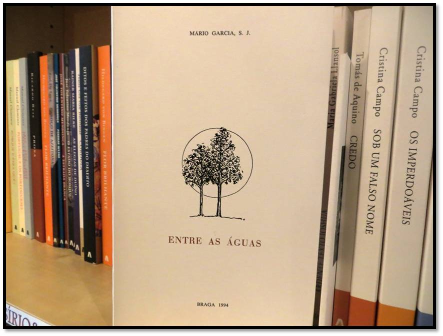 Imagem1