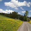 Krajina
