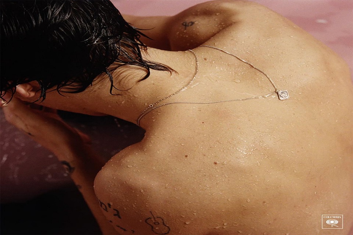 Harry Styles (Credit:Artists Facebook page)