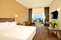 King Hilton Guest Room