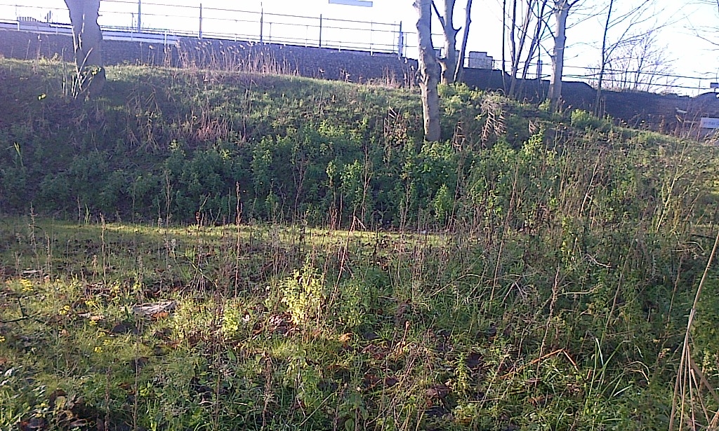 Fernbrook Embankment entrance