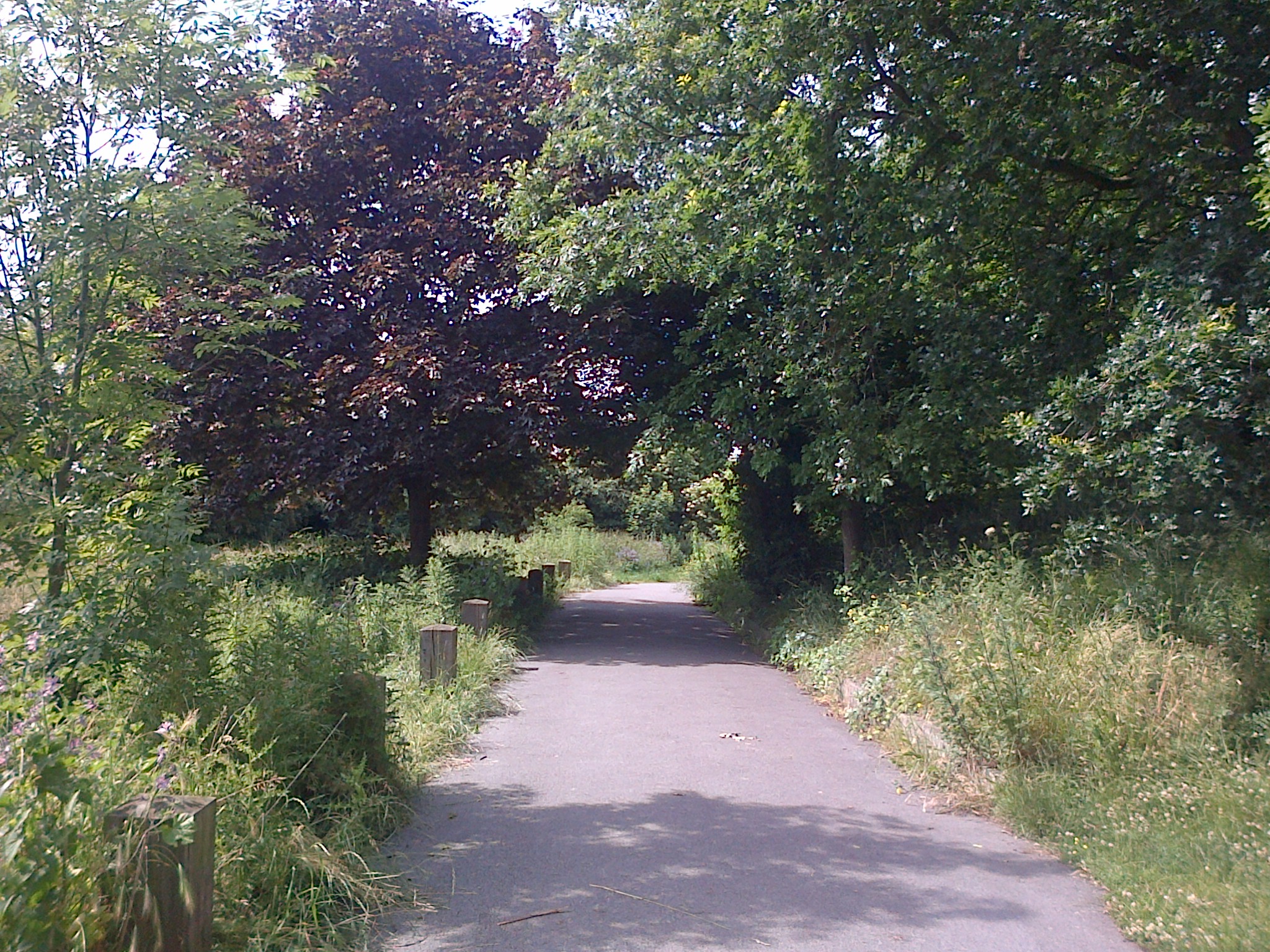 IMG-20130629-04435