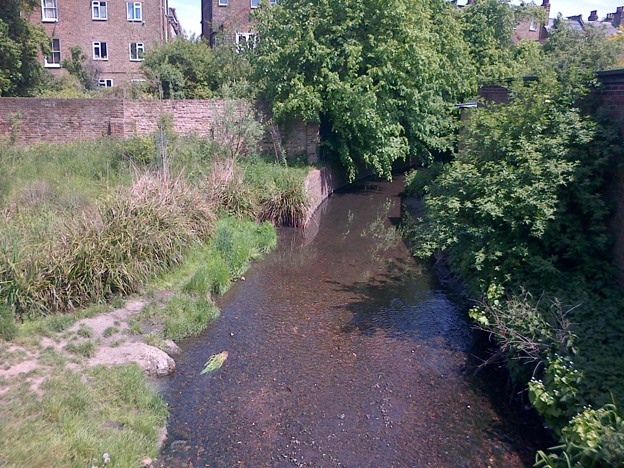 R Quaggy walk2