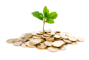 Green energy grant Green energy grant