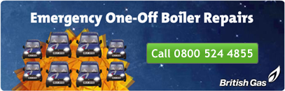 British Gas One-Off Boiler Repairs British Gas One-Off Boiler Repairs