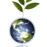 Government urged to not give up on green investment in a "desperate dash for growth".