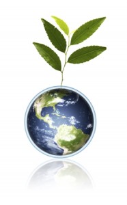 Google and Cisco have made it to the top of Greenpeace