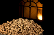 Biomass Fuels