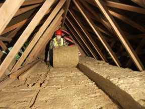 Loft Insulation Installer