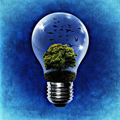 energy saving bulb