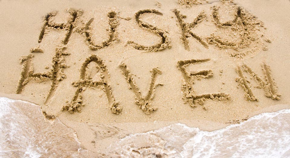 Husky Haven on the sand