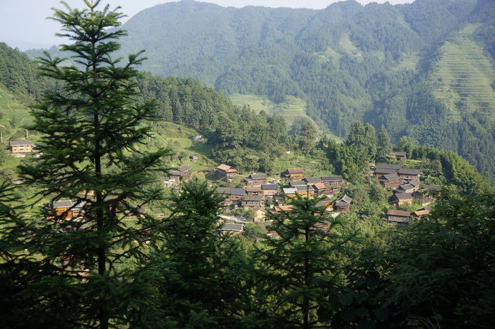 Full jpg %282%29