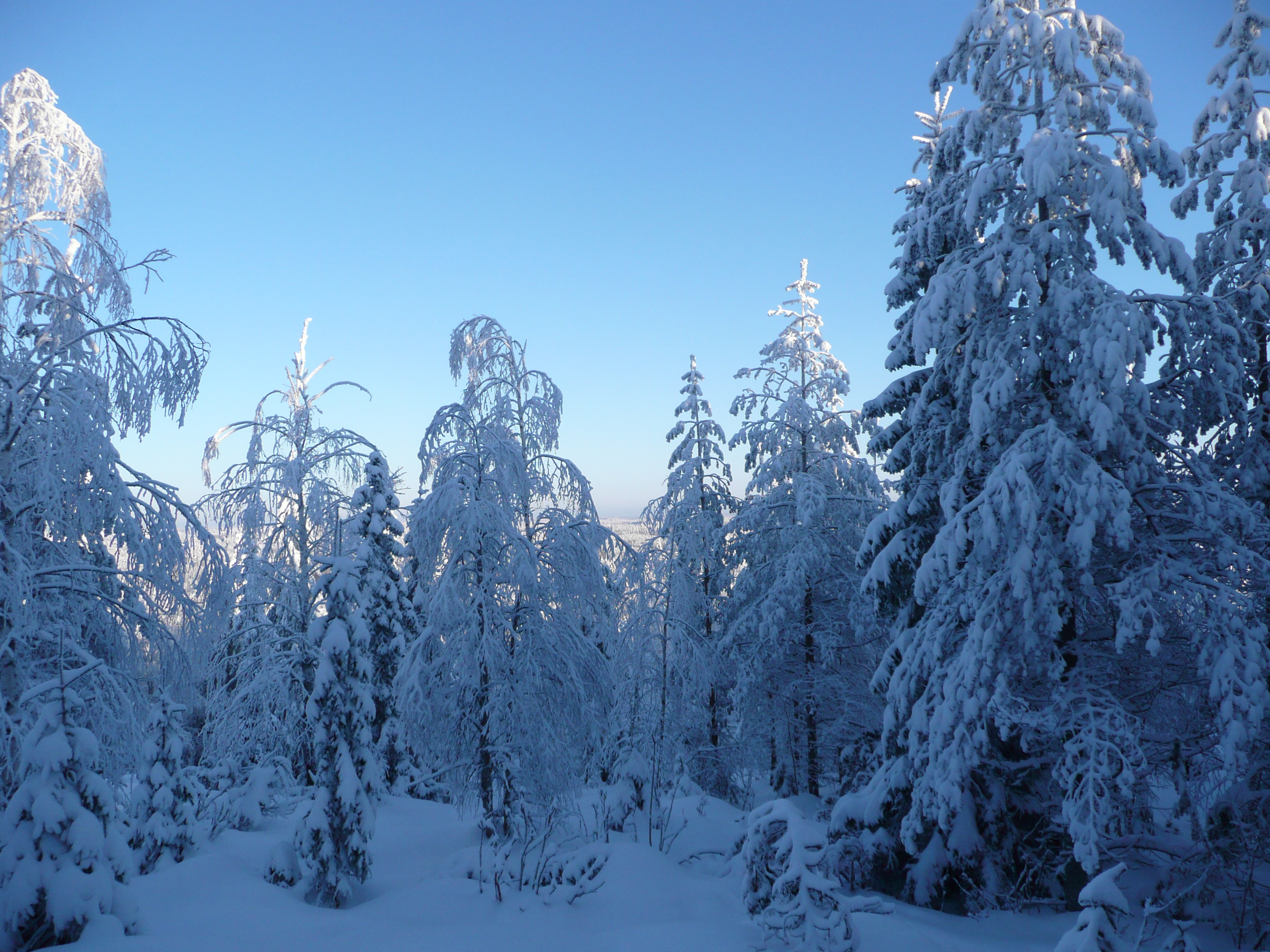 Winter5