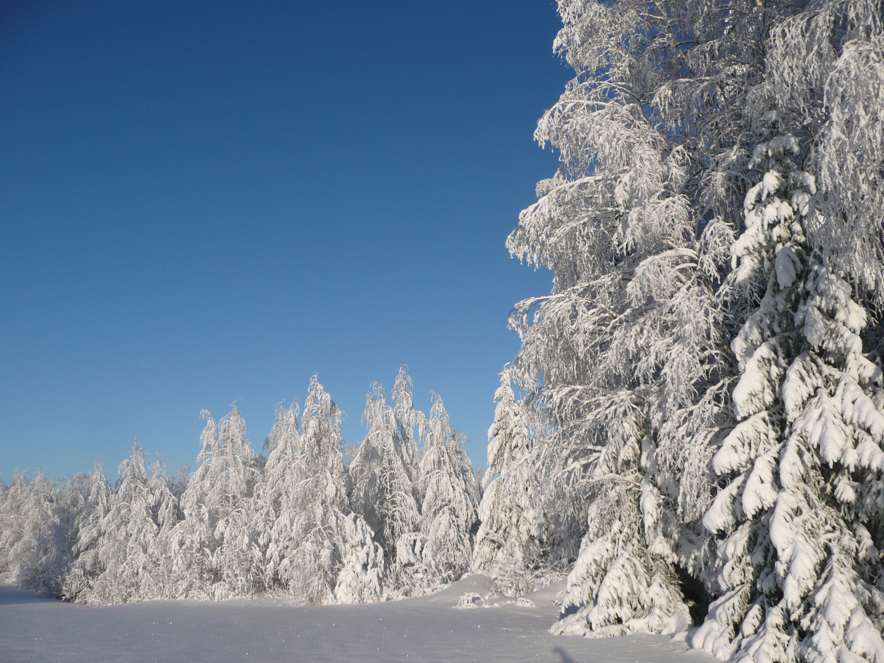 Winter3