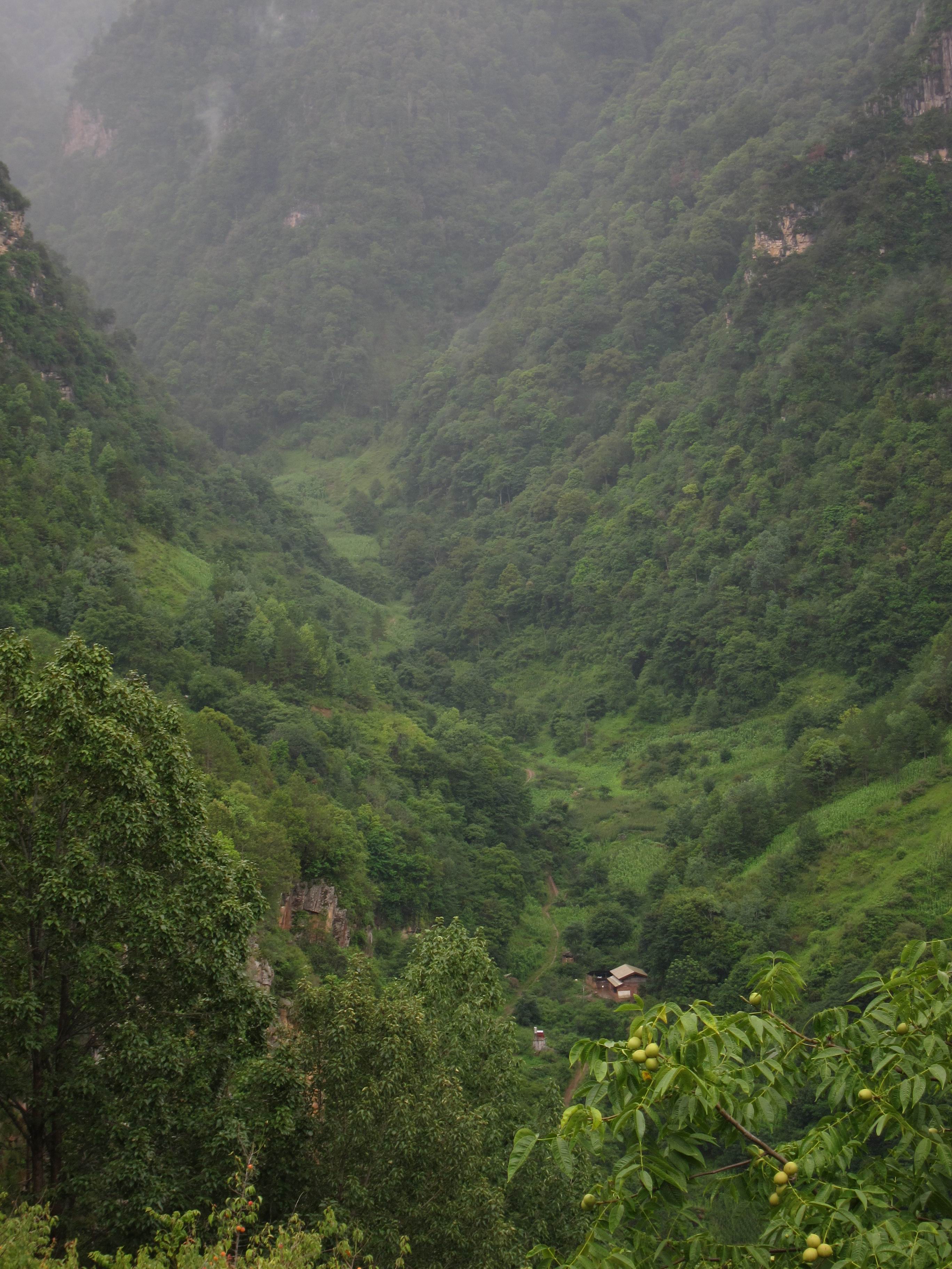 Photo %284%29