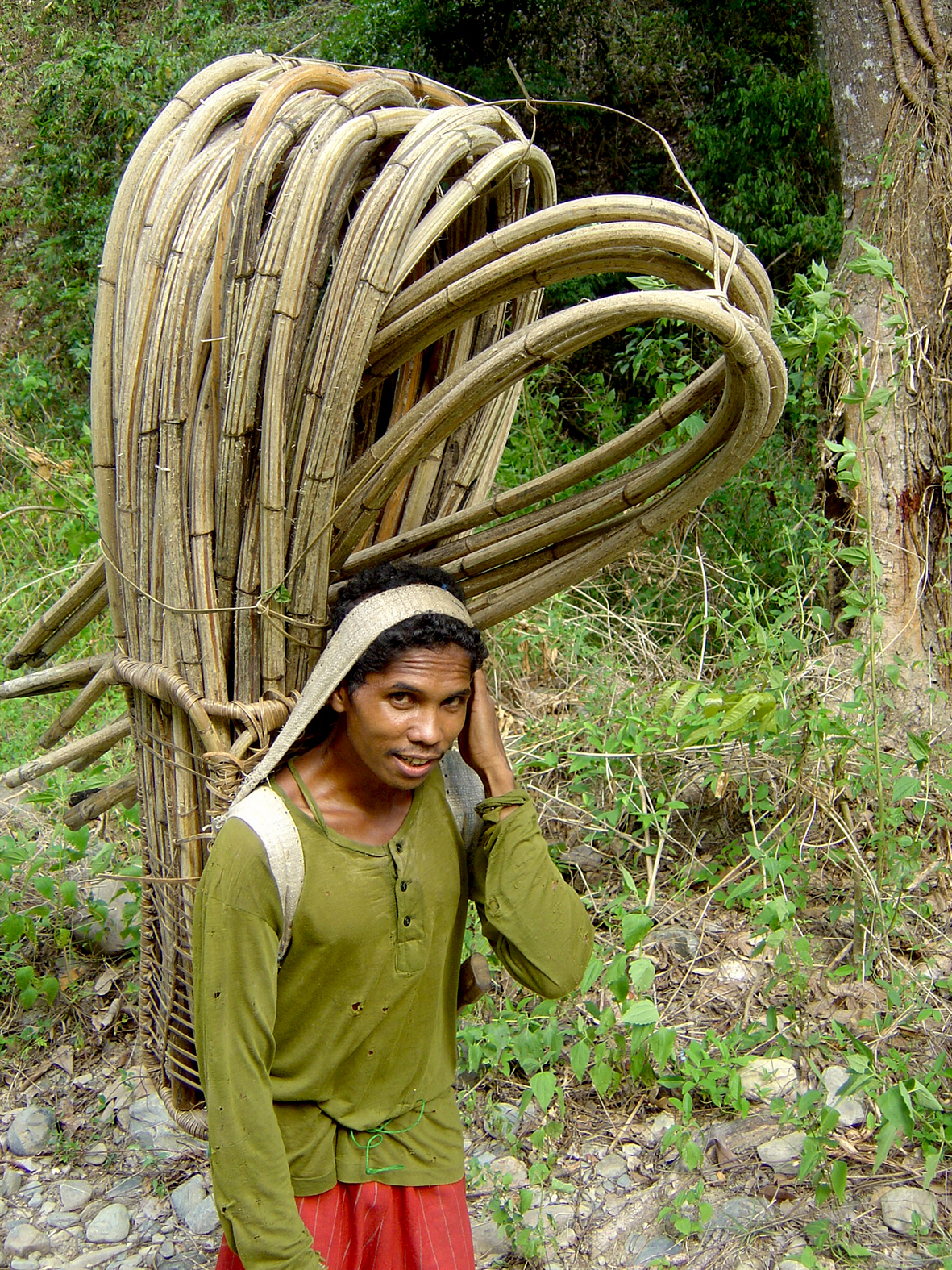 Rattan gathering copia