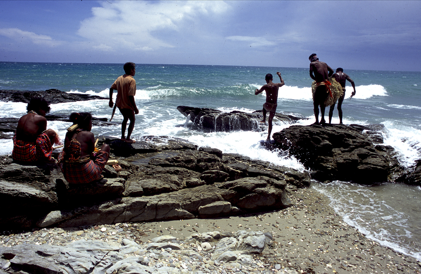 Tarok dancing on the shores copia